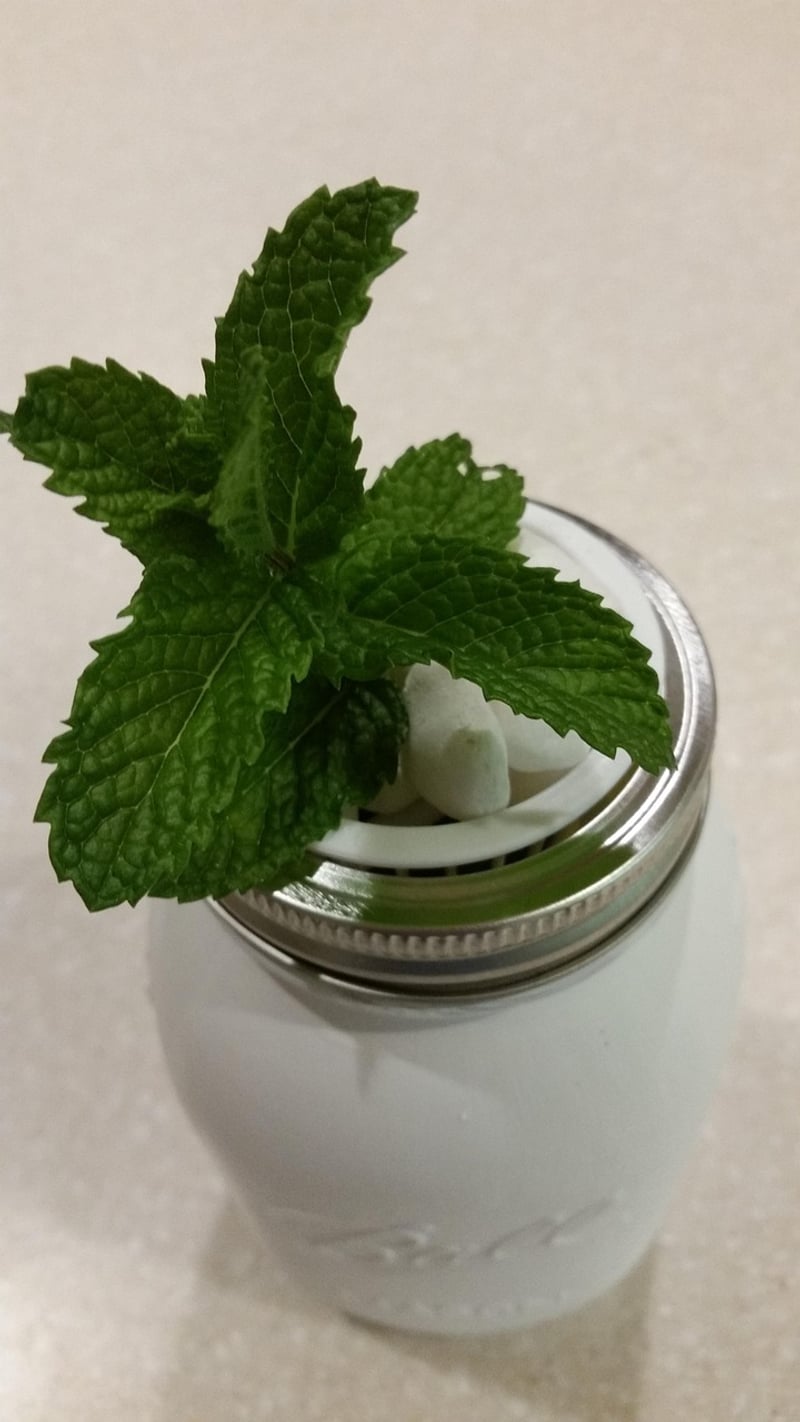 Repurposed Mason Jar Planters